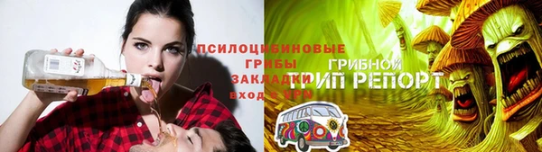 МДПВ Алзамай