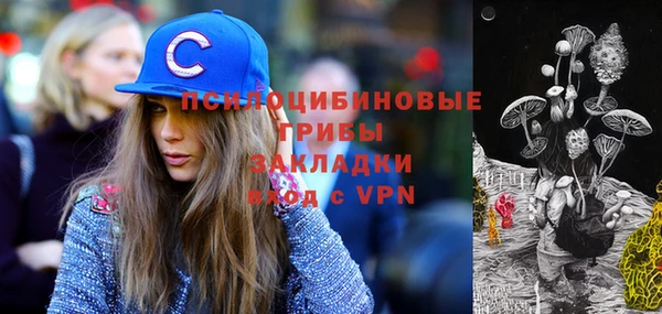 a pvp Абаза