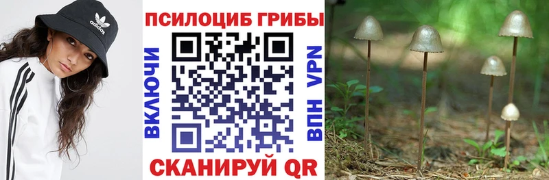 Галлюциногенные грибы мухоморы  хочу наркоту  Власиха 